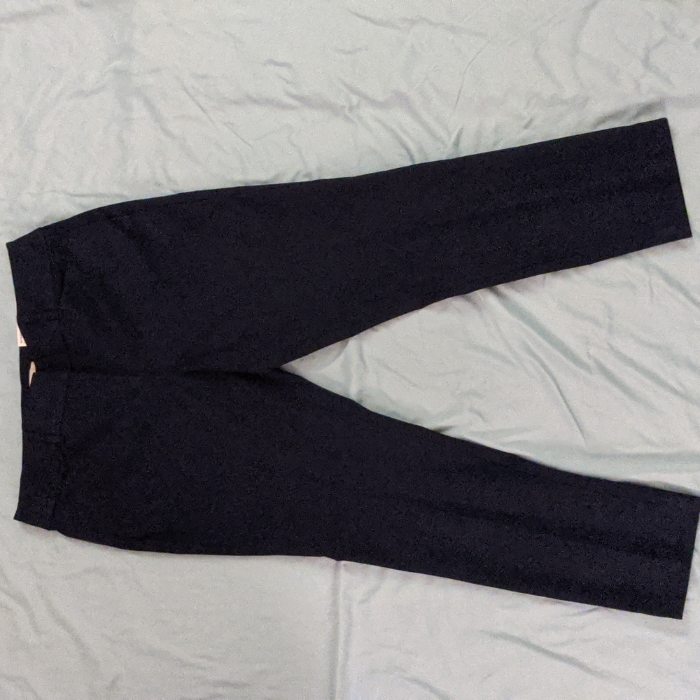 LOFT Outlet Curvy Skinny Ankle Pants